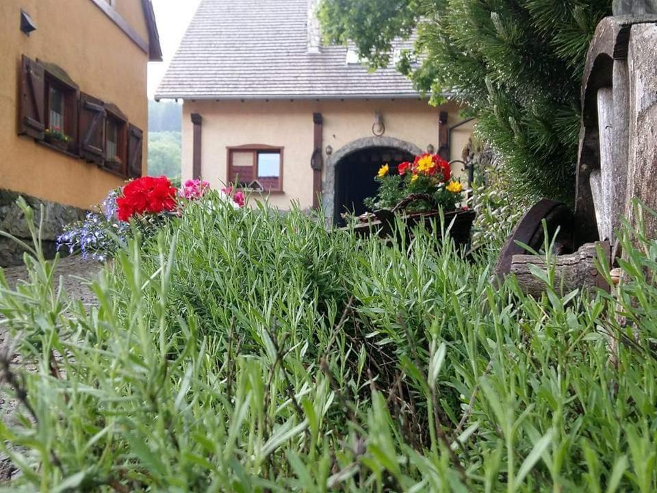 Agroturystyka Agro-Podkowka Marciszow 外观 照片