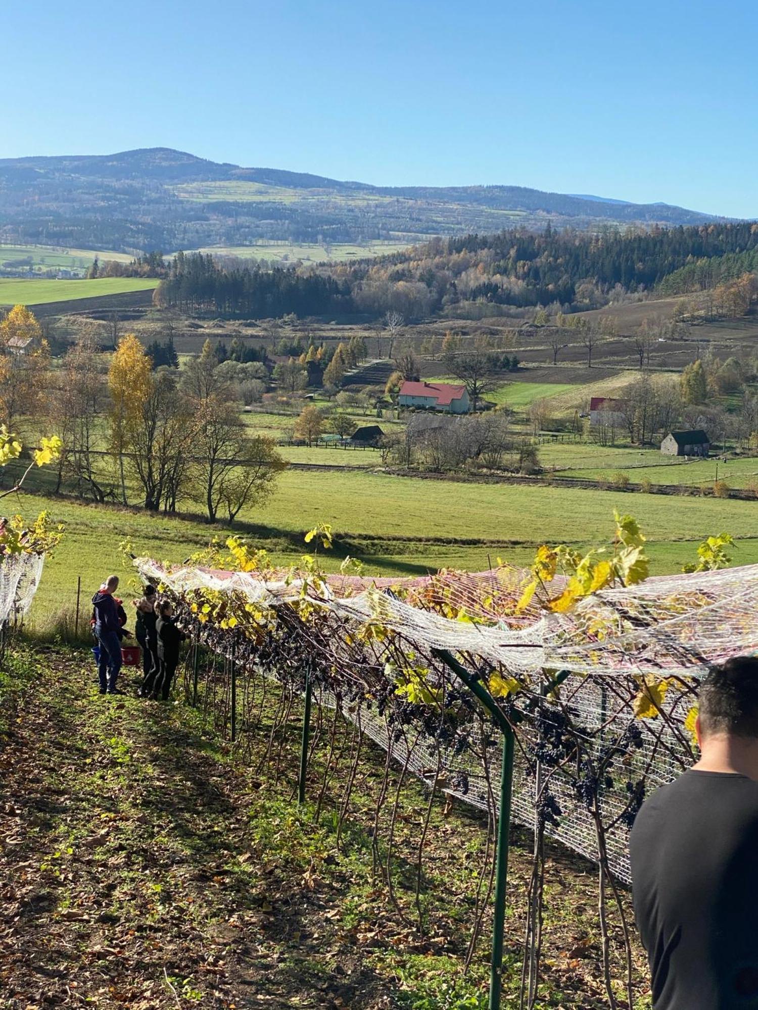 Agroturystyka Agro-Podkowka Marciszow 外观 照片