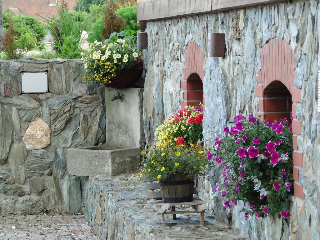 Agroturystyka Agro-Podkowka Marciszow 外观 照片